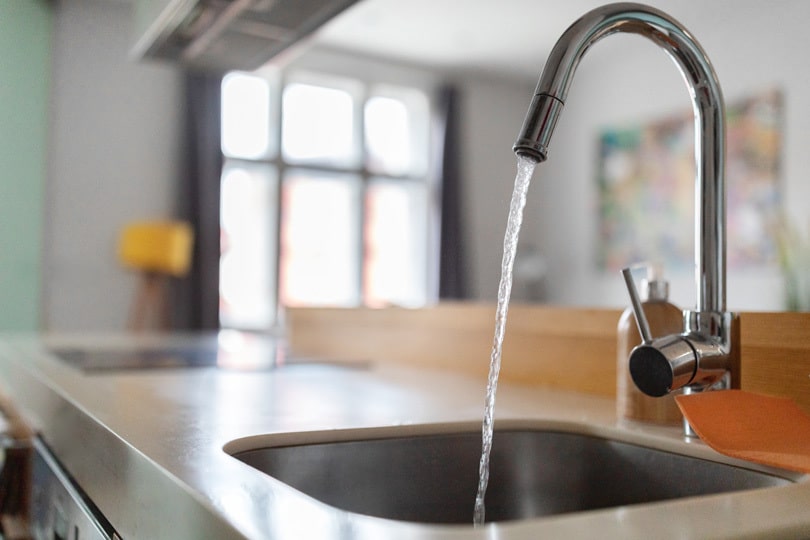 A kitchen faucet with clean water coming out.