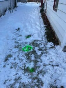 Utility marking paint showing drain line path before excavation in Spokane yard