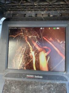 Sewer camera inspection showing tree roots inside drain pipe in Spokane