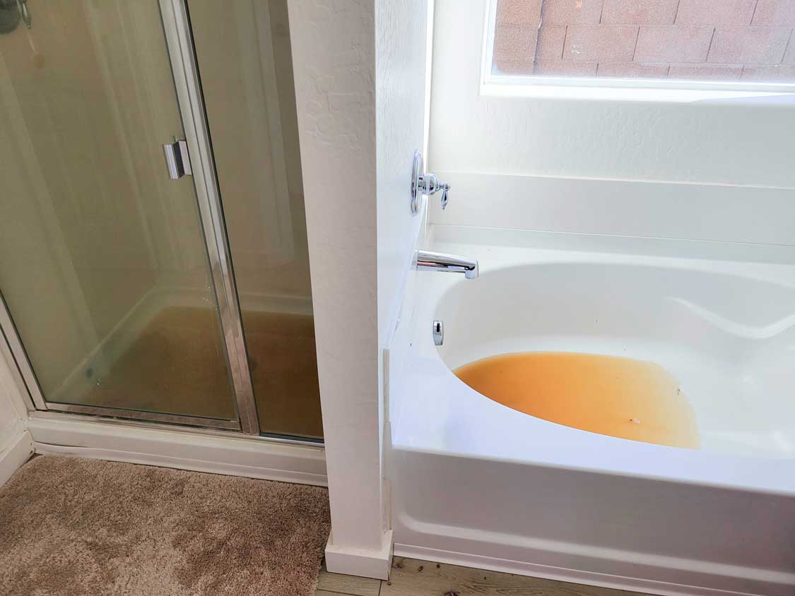 Water backing up into a bathroom shower and tub