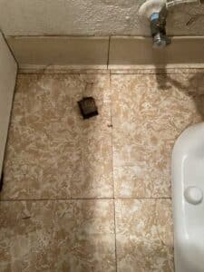 Floor drain and restroom area affected by sewer backup in Sprague