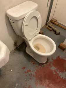 Toilet backing up during mainline drain blockage in Sprague WA