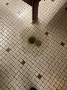 Water flowing back up the floor drain into the bathroom