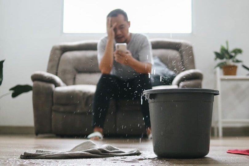 A man sitting on his couch calling a plumber while the water drips from the ceiling into a bucket beside him